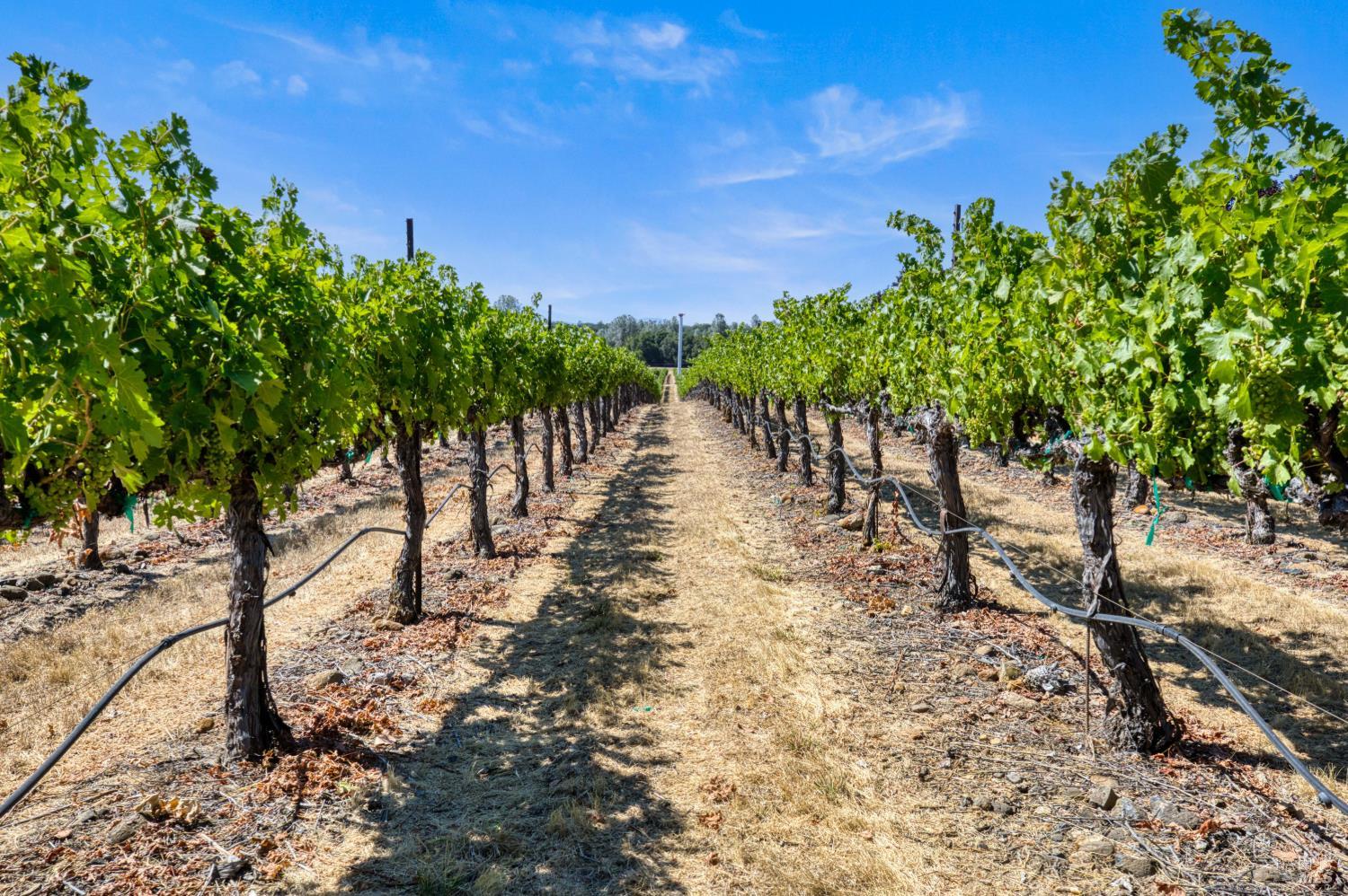7555 Highway 29 Kelseyville CA 95451