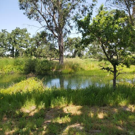 6060 Oak Avenue Cotati CA 94931