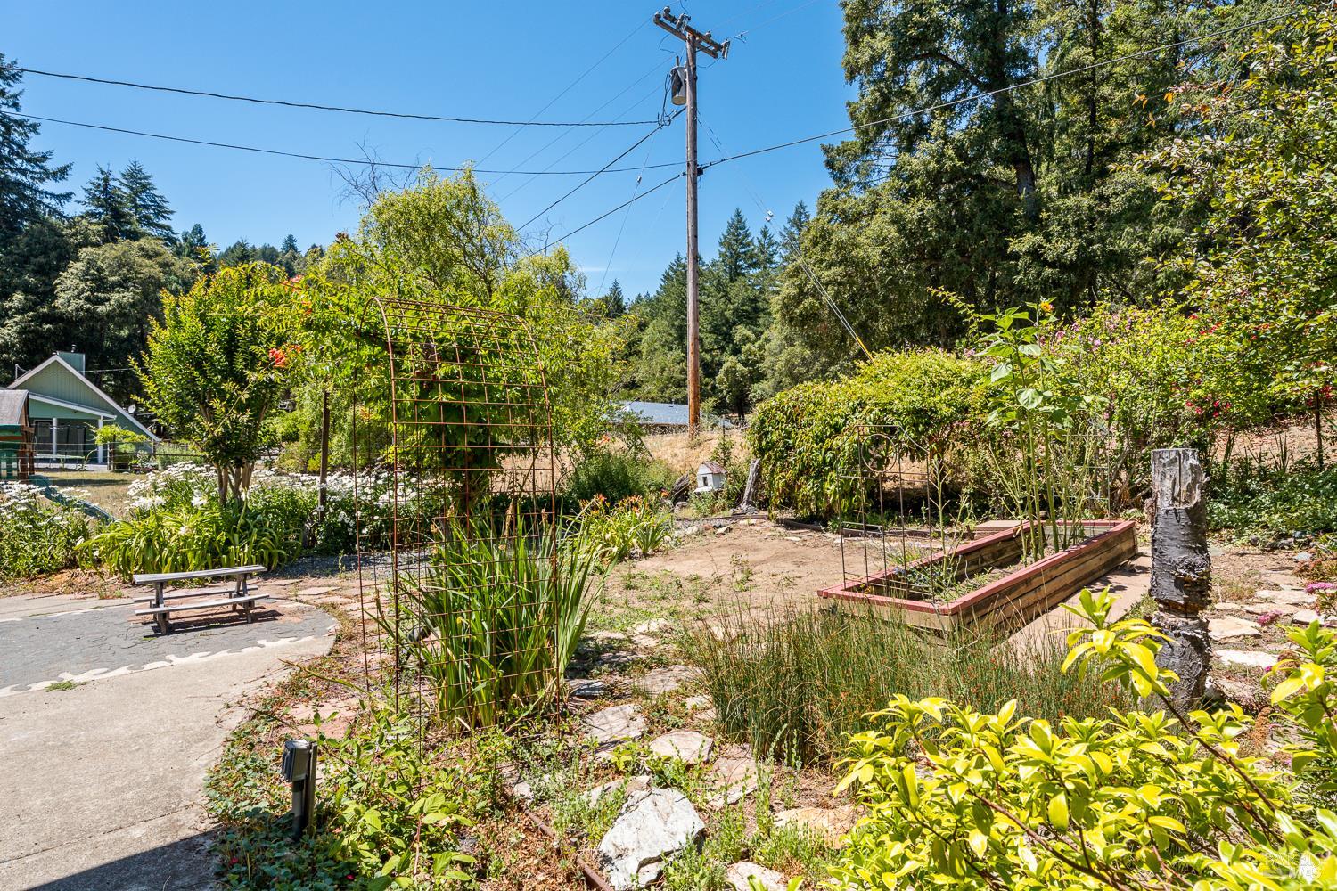 1853 Tulip Place Willits CA 95490