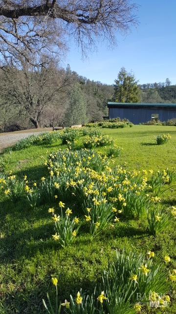 2002 Ogulin Canyon Road Clearlake CA 95422