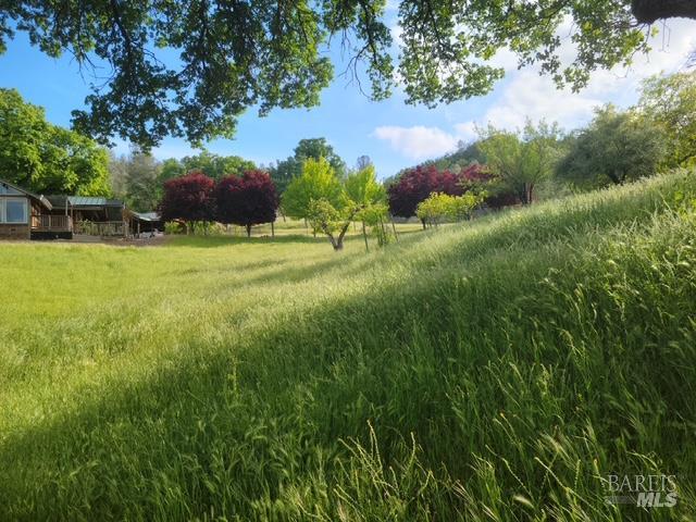2002 Ogulin Canyon Road Clearlake CA 95422