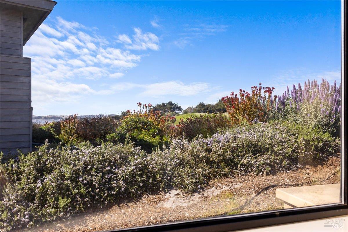 21468 Heron Drive Bodega Bay CA 94923