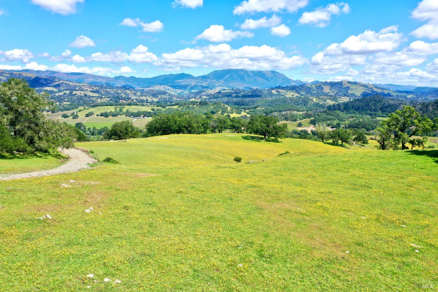 5520 W Soda Rock Lane Healdsburg CA 95448