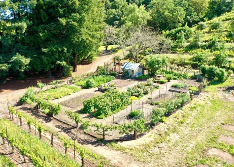 5520 W Soda Rock Lane Healdsburg CA 95448