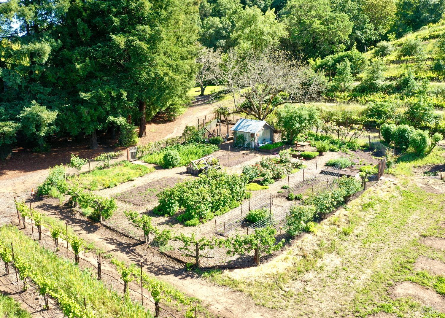 5520 W Soda Rock Lane Healdsburg CA 95448