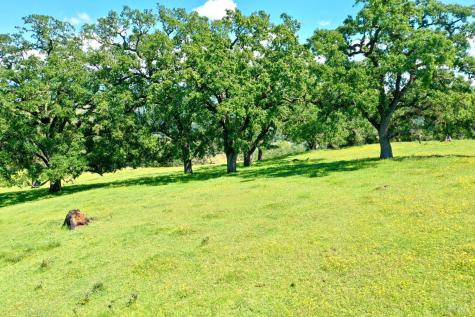 5520 W Soda Rock Lane Healdsburg CA 95448