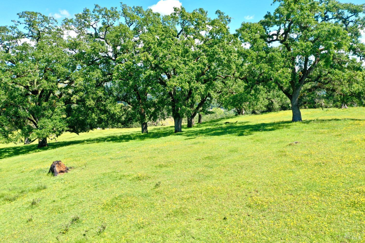 5520 W Soda Rock Lane Healdsburg CA 95448