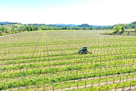5520 W Soda Rock Lane Healdsburg CA 95448