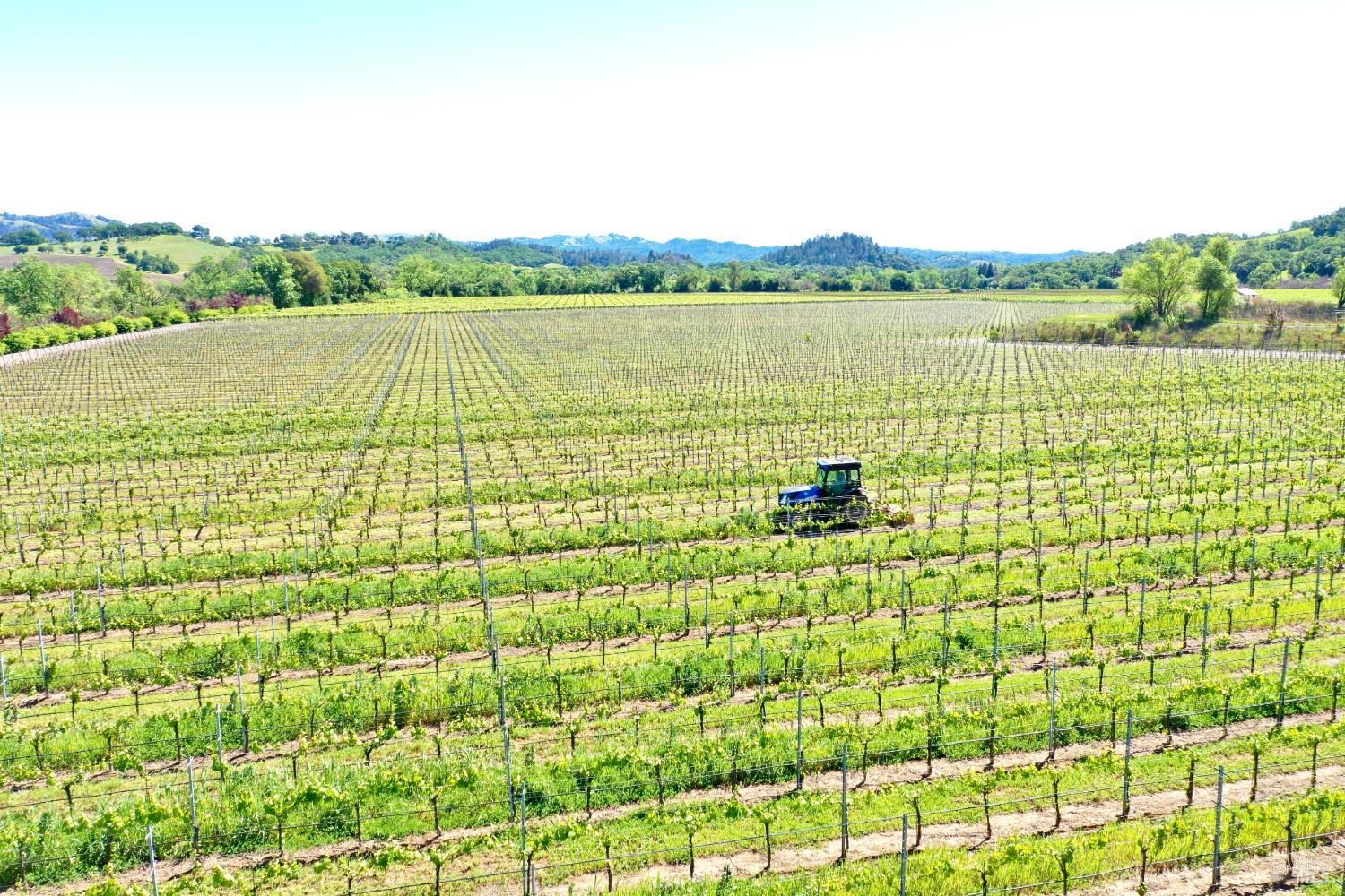 5520 W Soda Rock Lane Healdsburg CA 95448