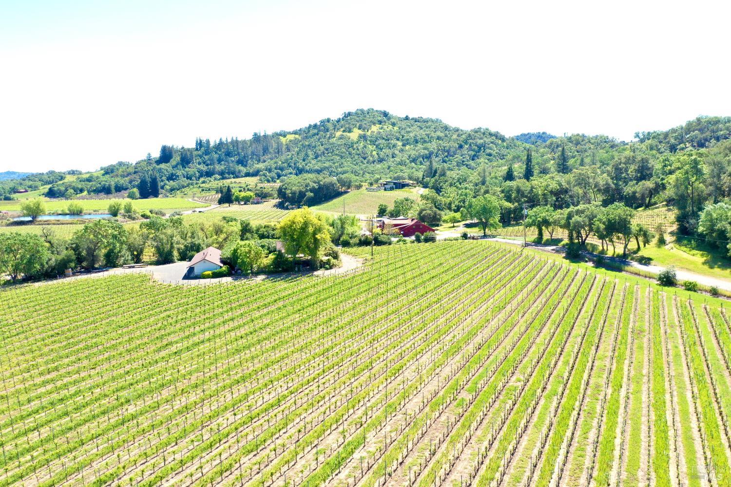5520 W Soda Rock Lane Healdsburg CA 95448