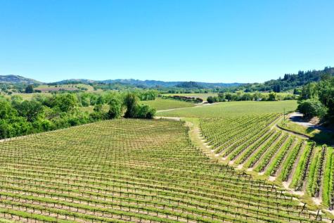 5520 W Soda Rock Lane Healdsburg CA 95448