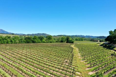 5520 W Soda Rock Lane Healdsburg CA 95448