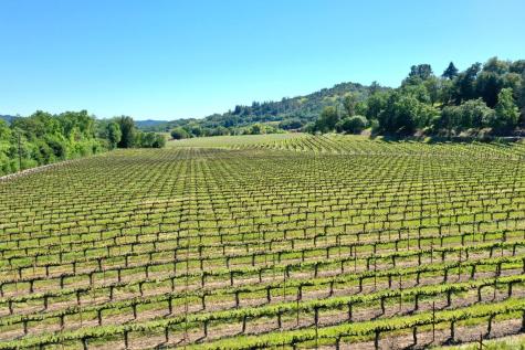 5520 W Soda Rock Lane Healdsburg CA 95448