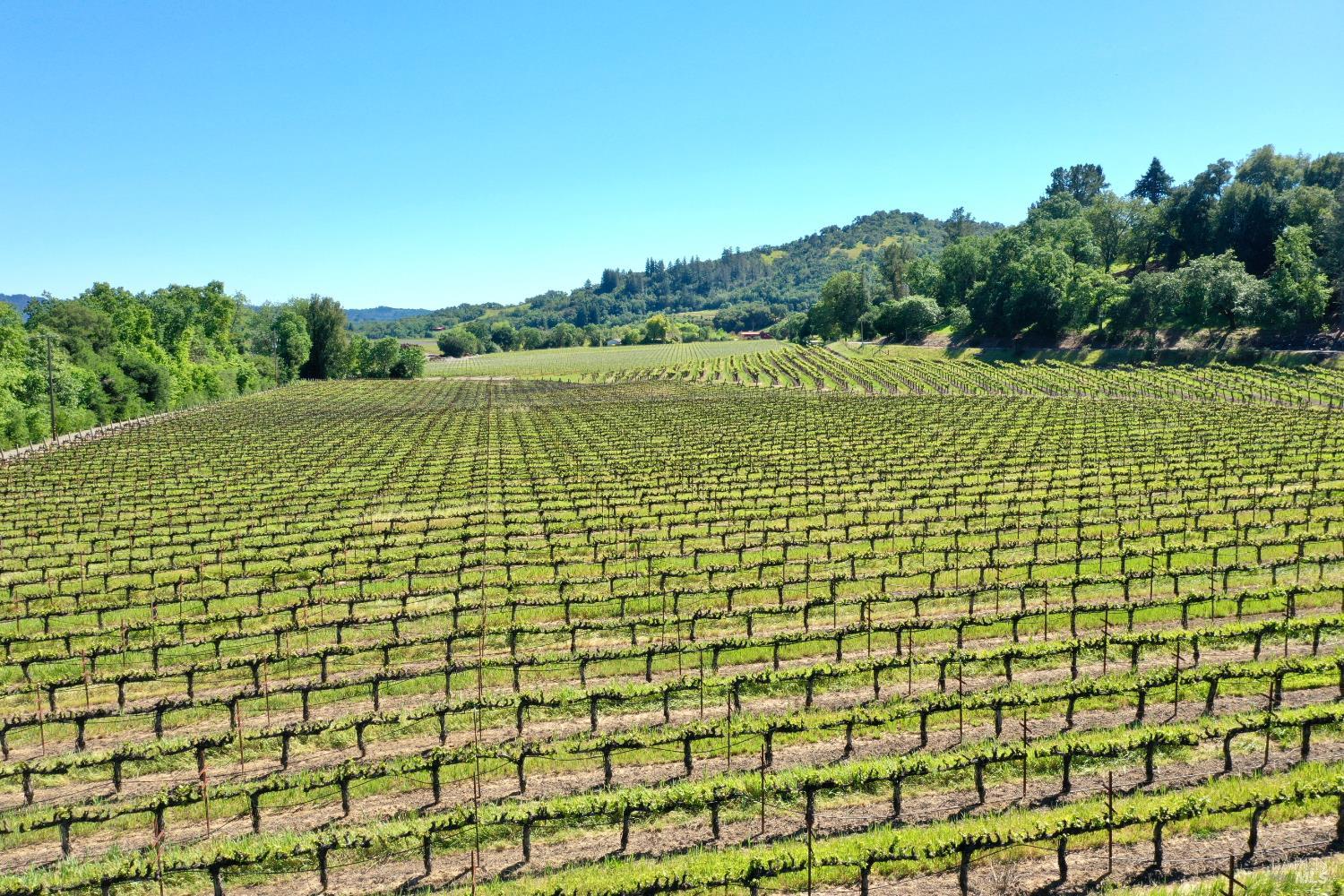 5520 W Soda Rock Lane Healdsburg CA 95448