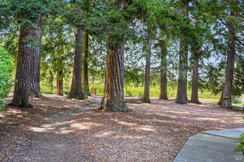 5520 W Soda Rock Lane Healdsburg CA 95448