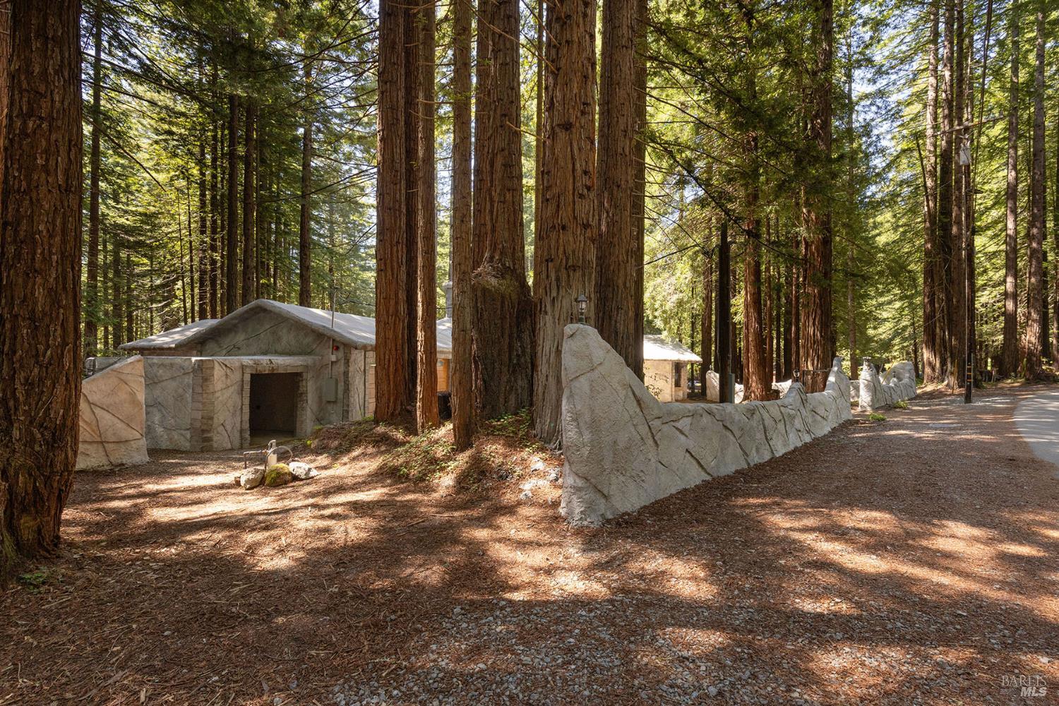 2264 Joy Ridge Road Occidental CA 95465