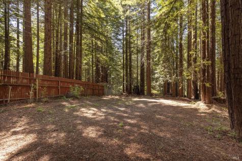 2264 Joy Ridge Road Occidental CA 95465