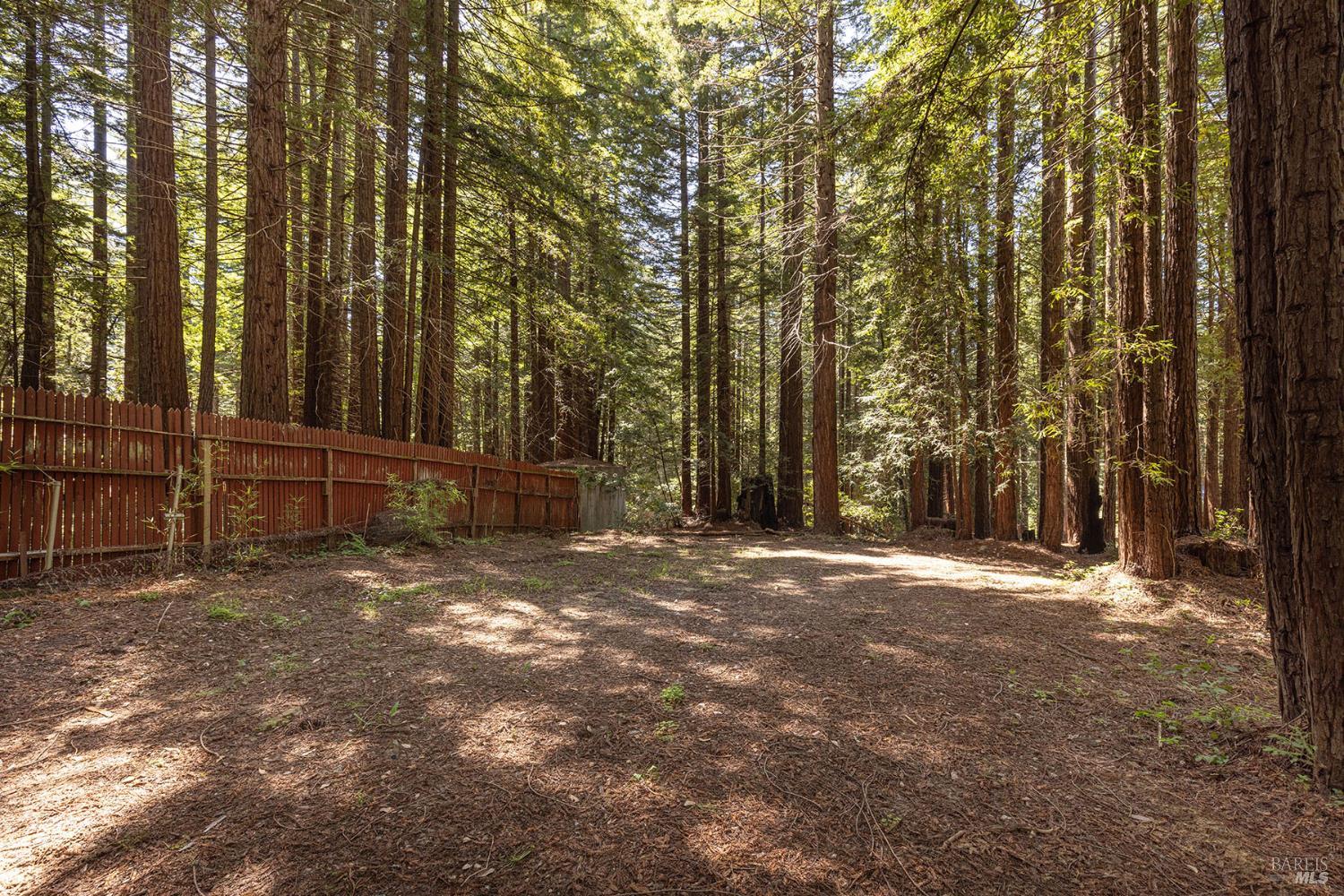 2264 Joy Ridge Road Occidental CA 95465