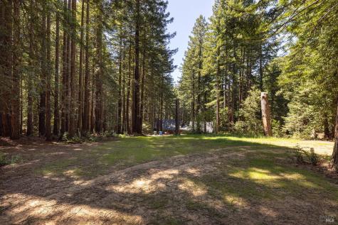 2264 Joy Ridge Road Occidental CA 95465