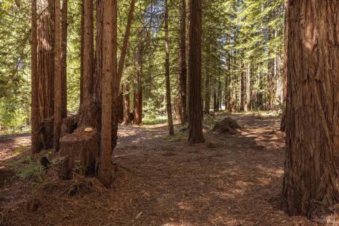 2264 Joy Ridge Road Occidental CA 95465