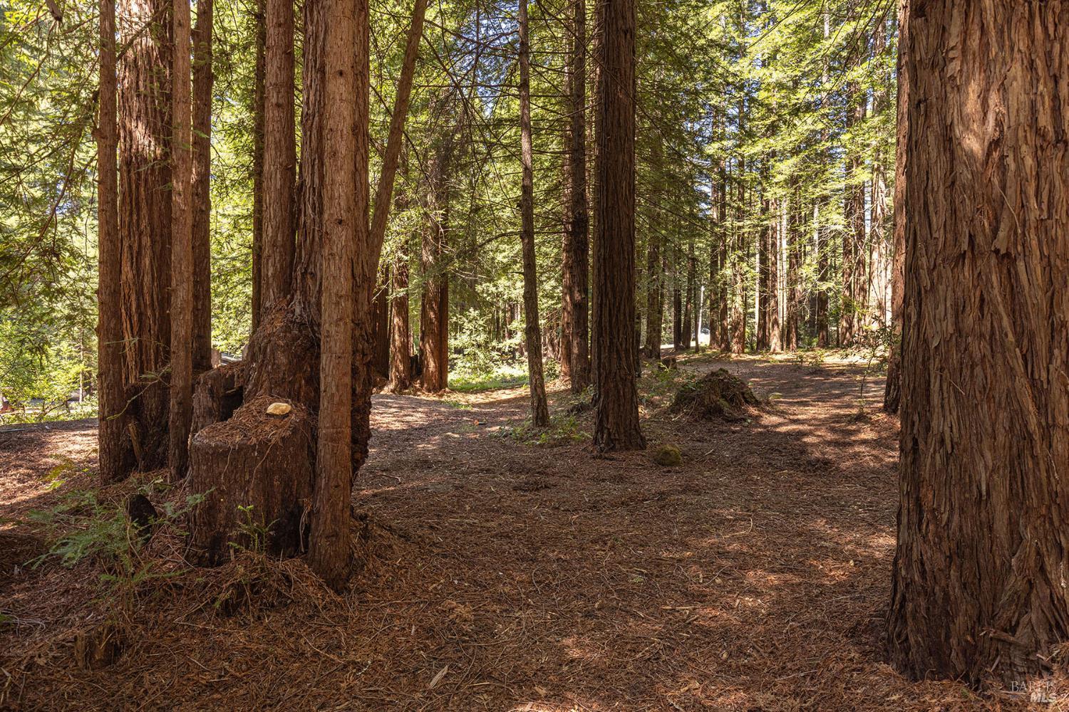 2264 Joy Ridge Road Occidental CA 95465