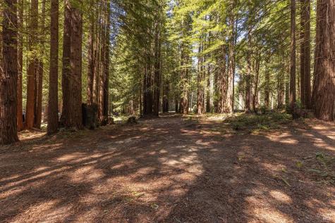 2264 Joy Ridge Road Occidental CA 95465