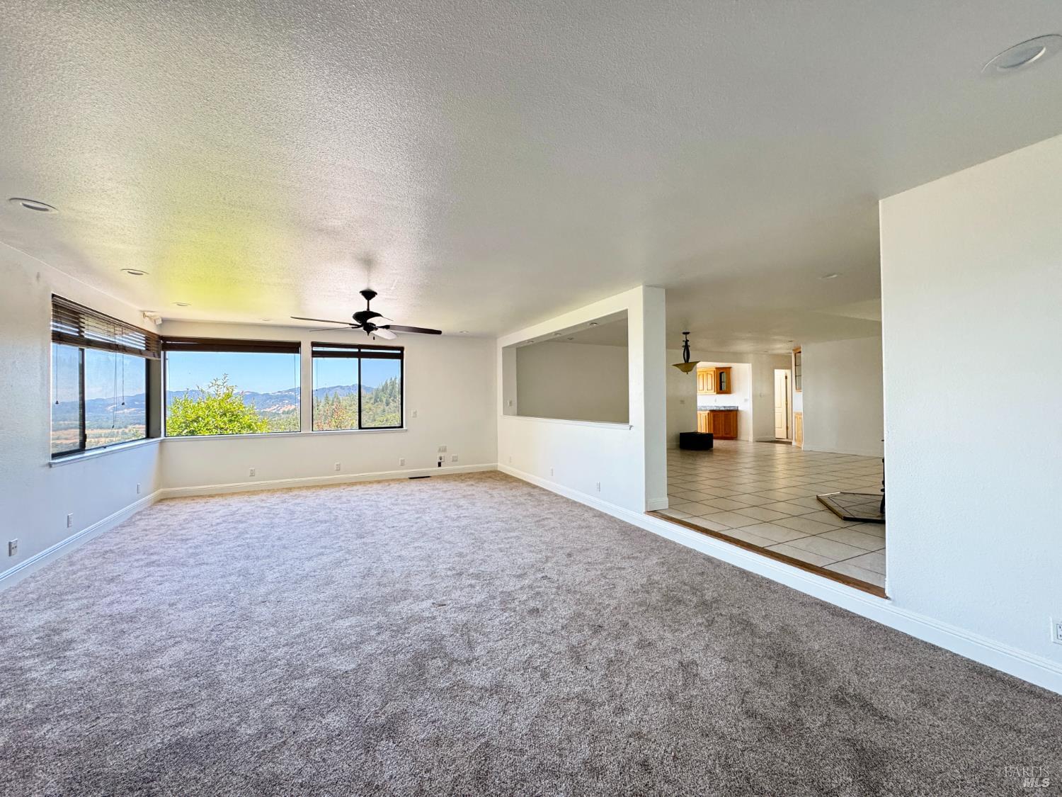16990 Old Boy Scout Road Willits CA 95490