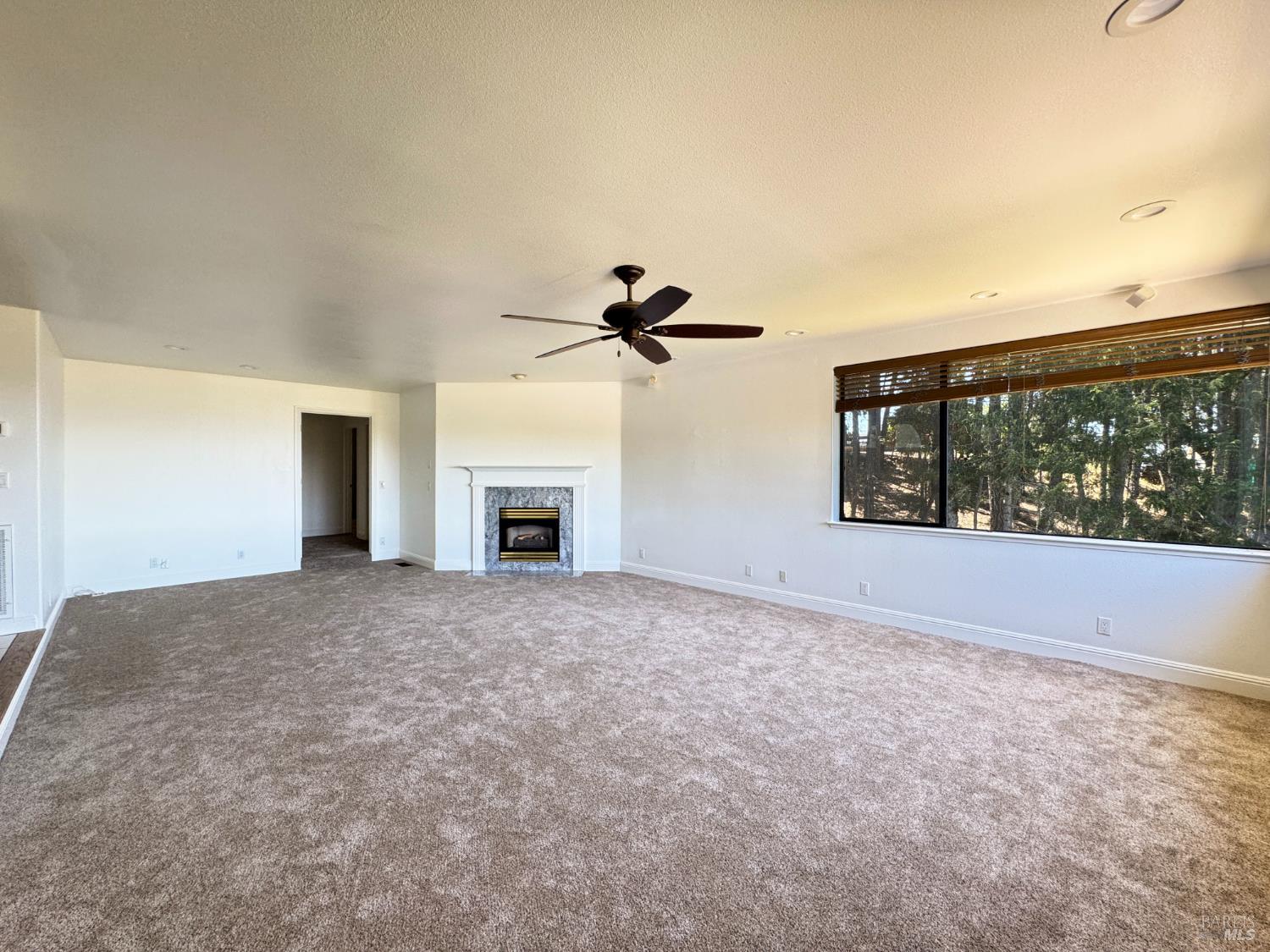 16990 Old Boy Scout Road Willits CA 95490