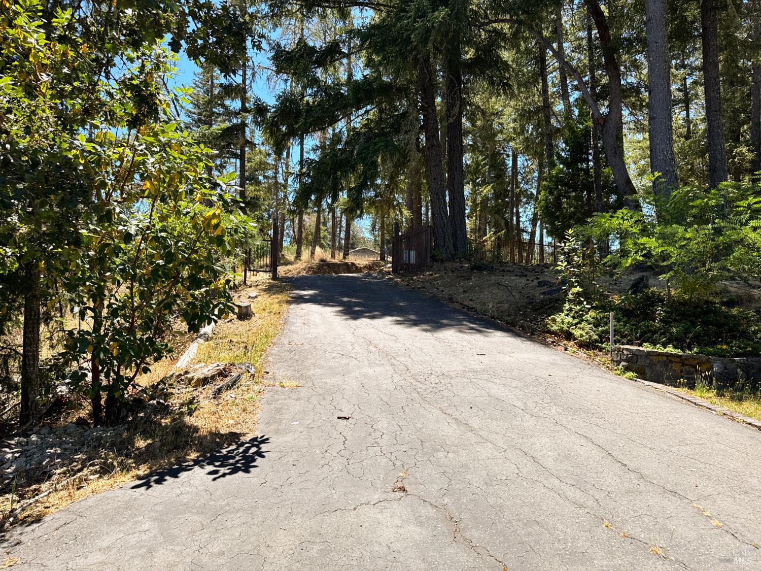 16990 Old Boy Scout Road Willits CA 95490