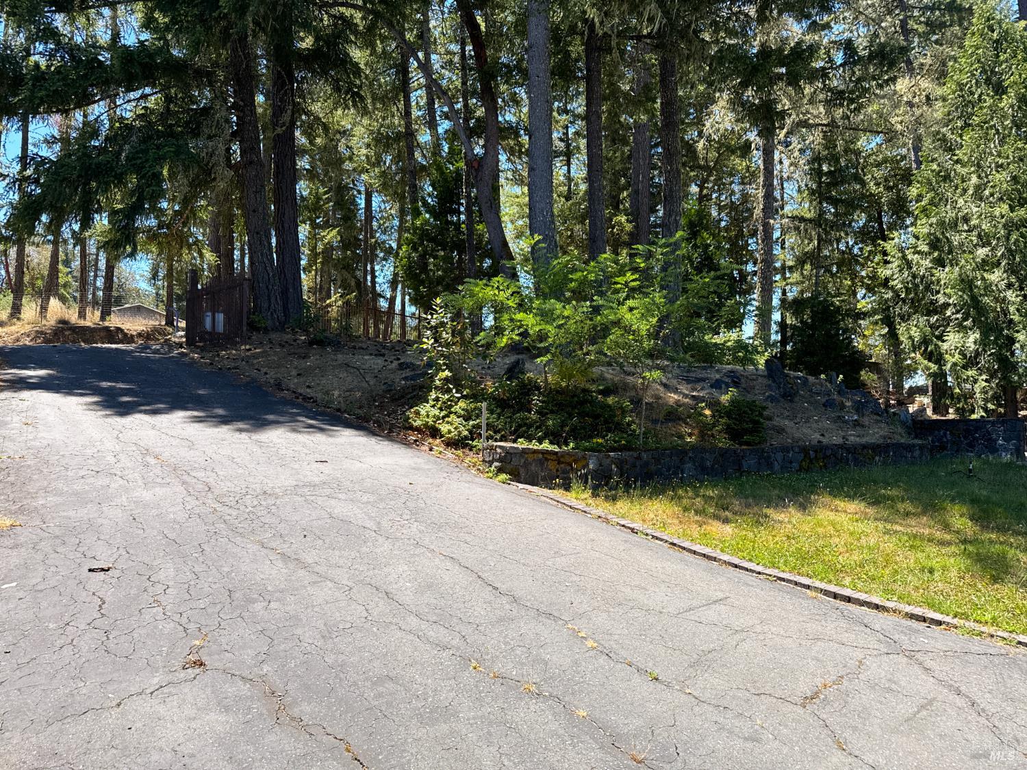 16990 Old Boy Scout Road Willits CA 95490