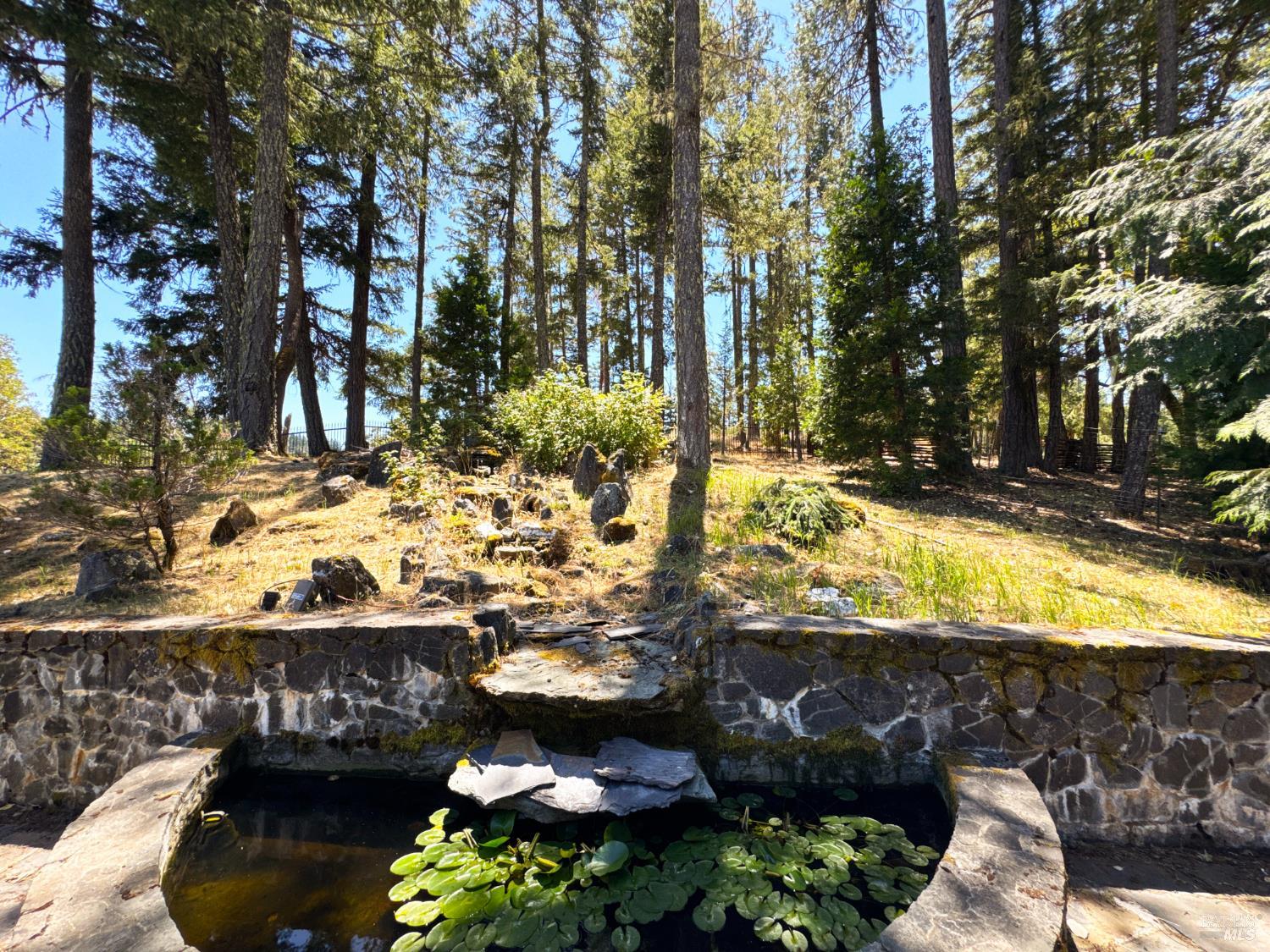 16990 Old Boy Scout Road Willits CA 95490