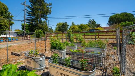 4336 Hessel Road Sebastopol CA 95472