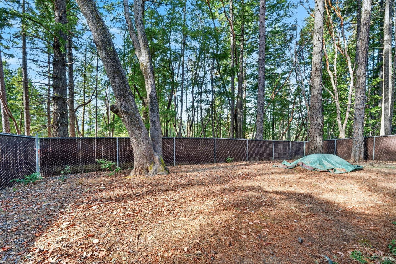 1290 Tuck Road Willits CA 95490