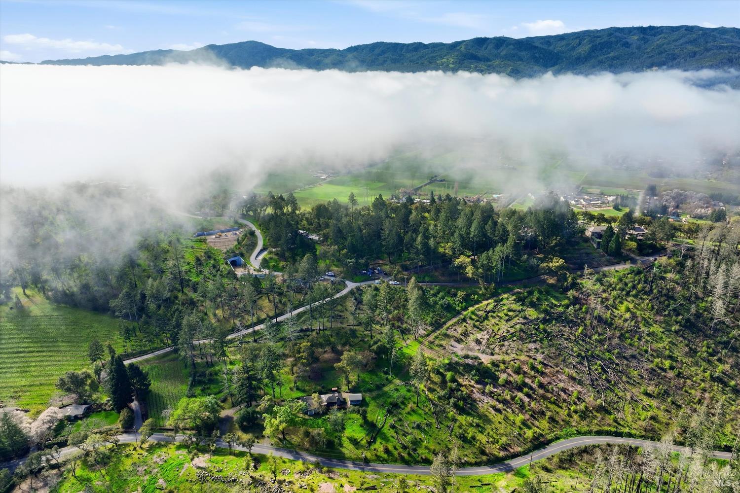 1830 Howell Mountain Road St. Helena CA 94574