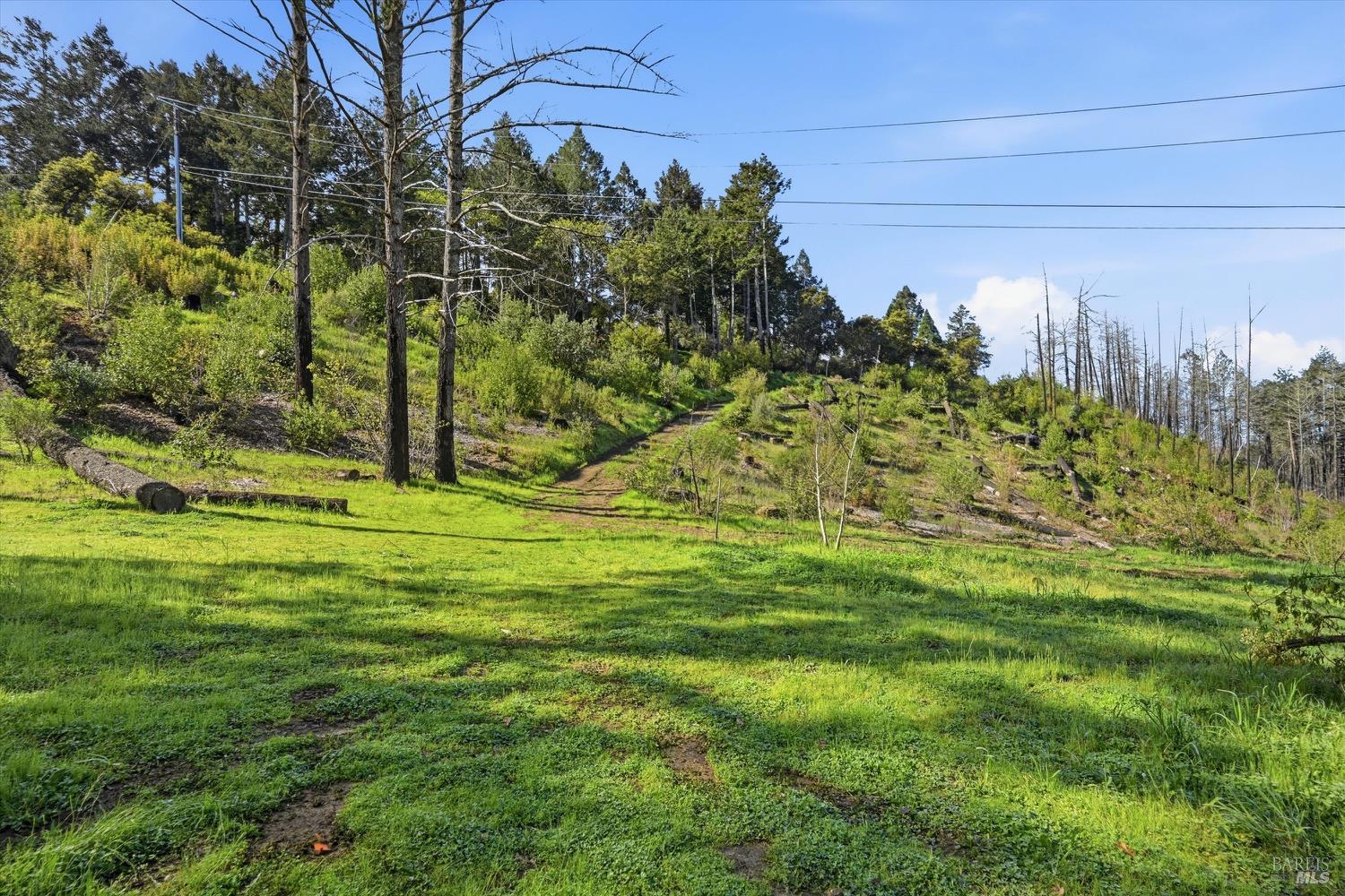 1830 Howell Mountain Road St. Helena CA 94574