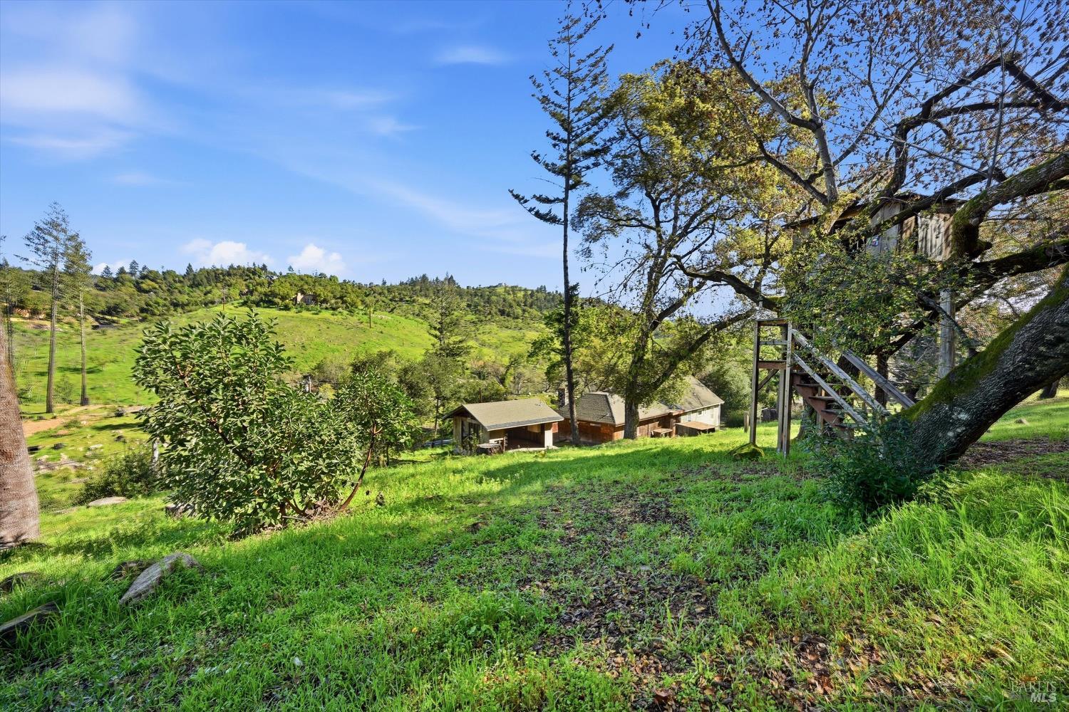 1830 Howell Mountain Road St. Helena CA 94574