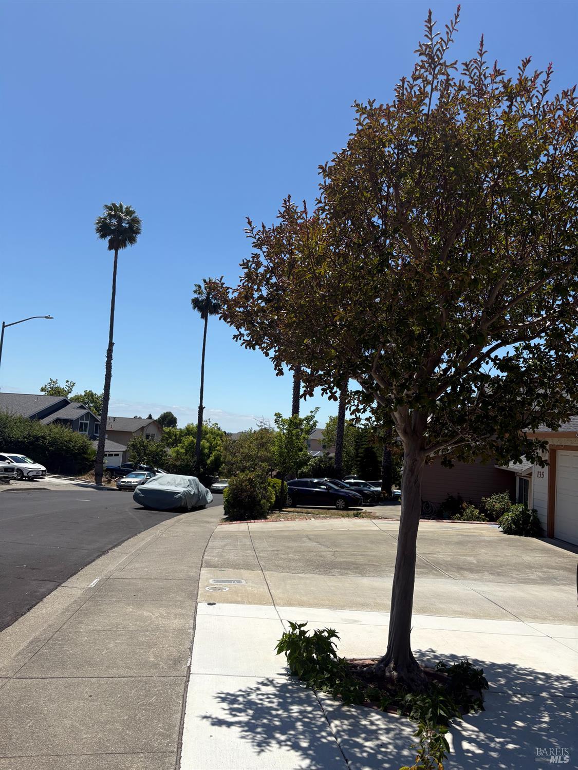 159 Vanessa Street Vallejo CA 94589