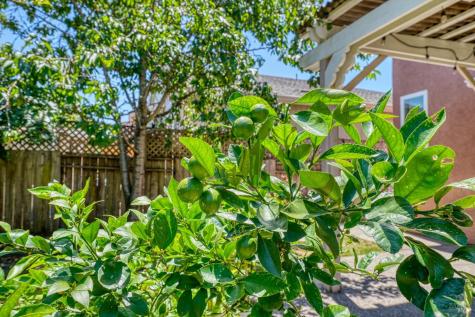 2562 Silver Spur Drive Santa Rosa CA 95407