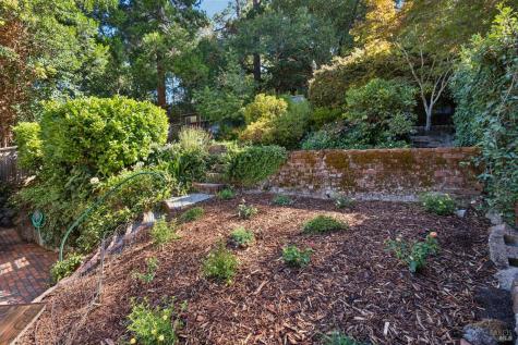 25 Allyn Avenue San Anselmo CA 94960