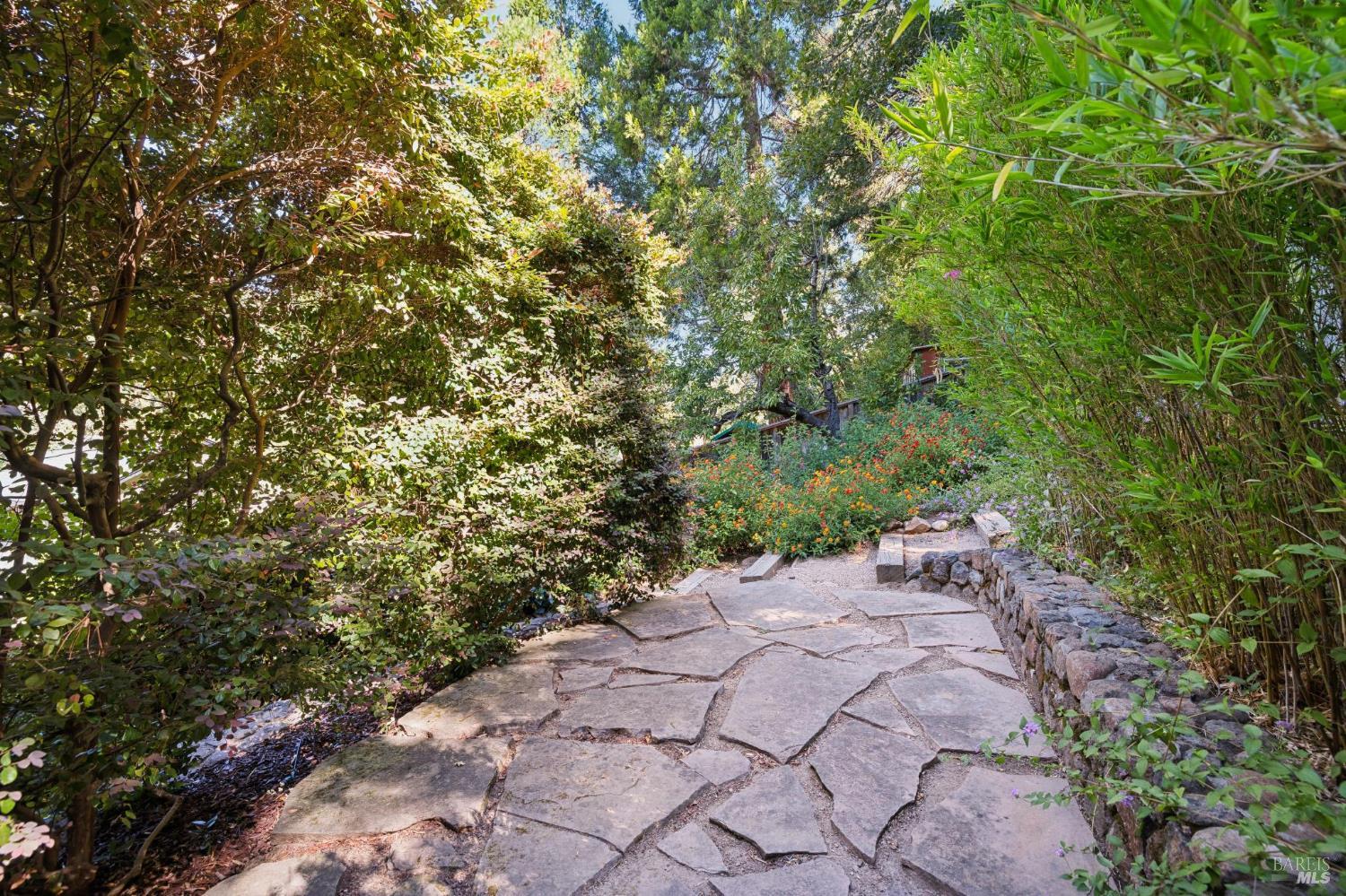 25 Allyn Avenue San Anselmo CA 94960