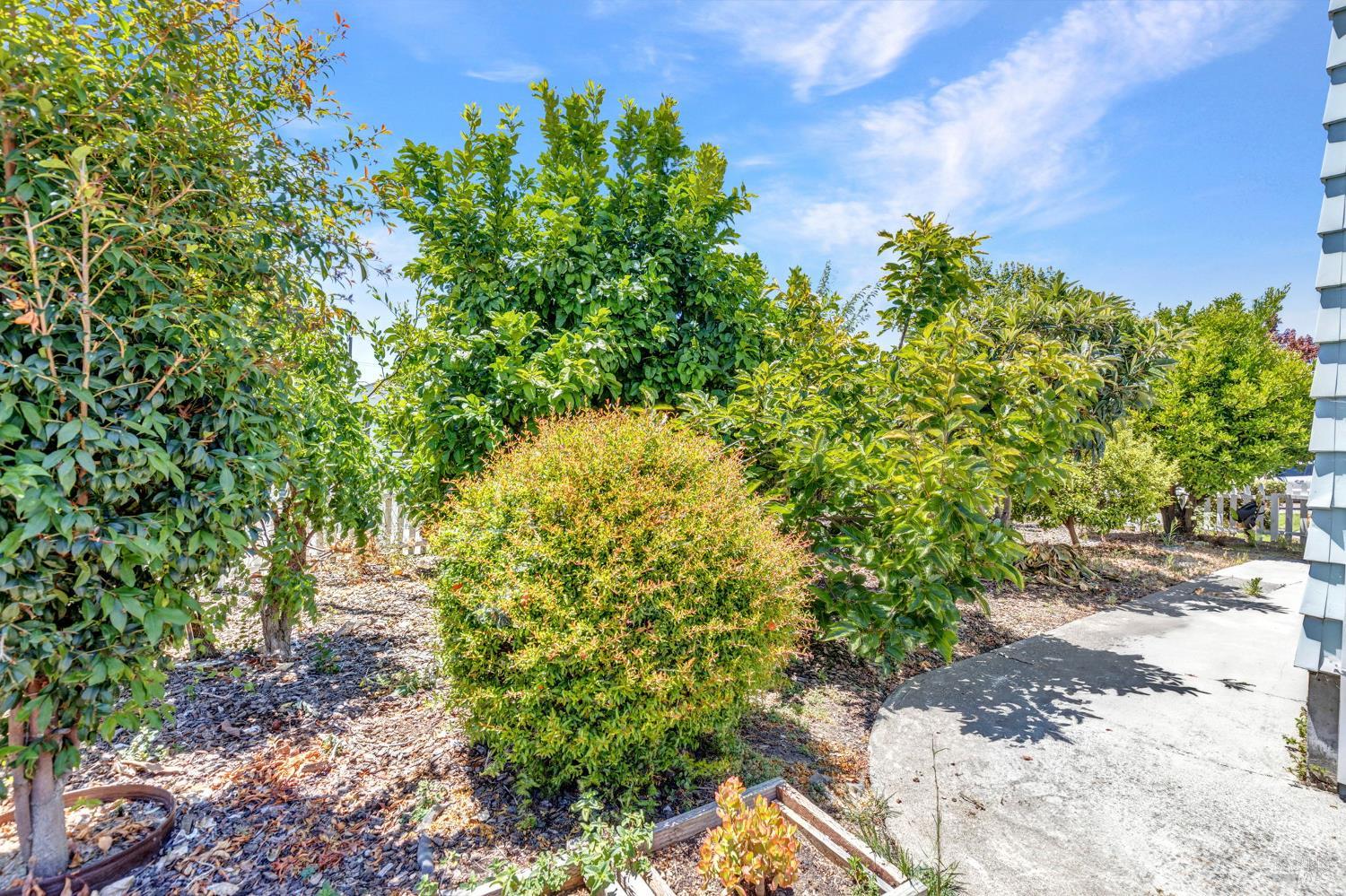 1001 Highland Avenue Vallejo CA 94590
