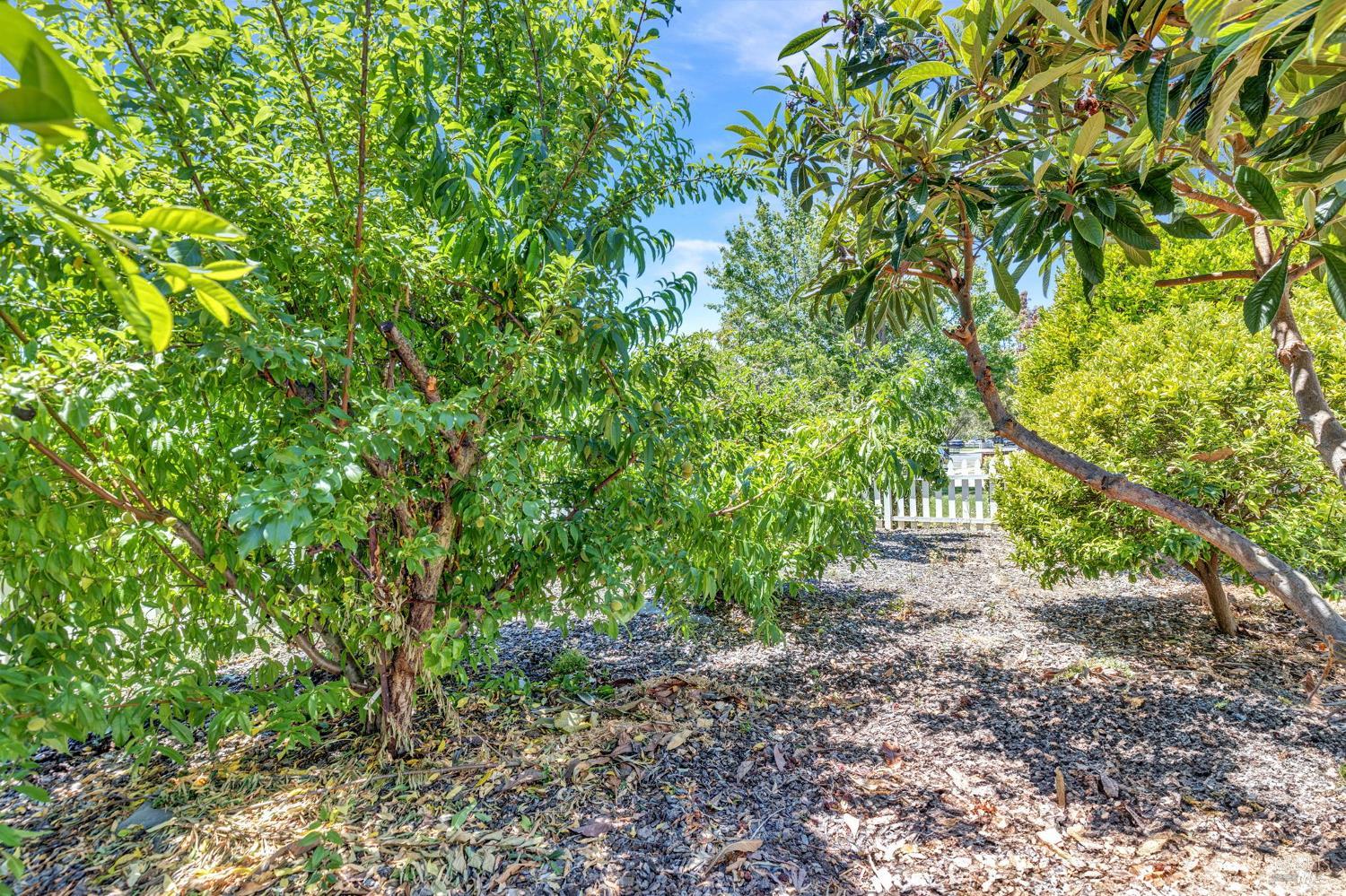 1001 Highland Avenue Vallejo CA 94590