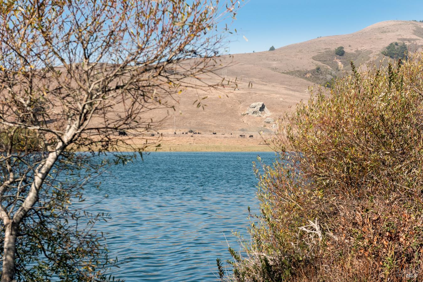29011 Willow Creek Road Jenner CA 95430