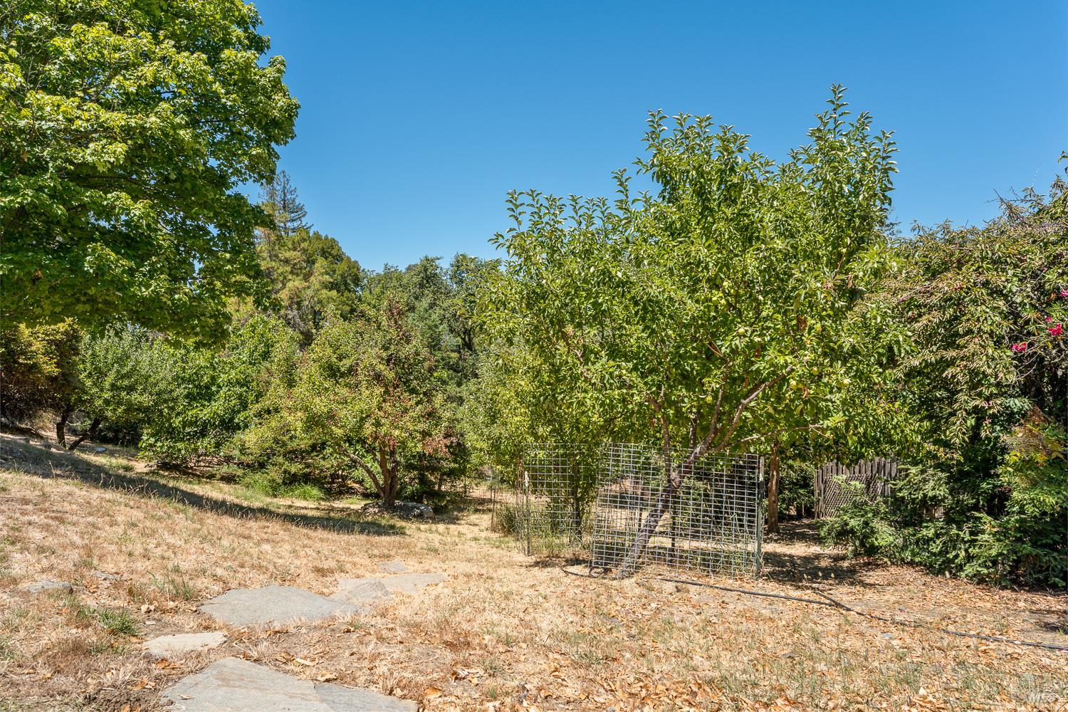 800 Riverside Drive Ukiah CA 95482