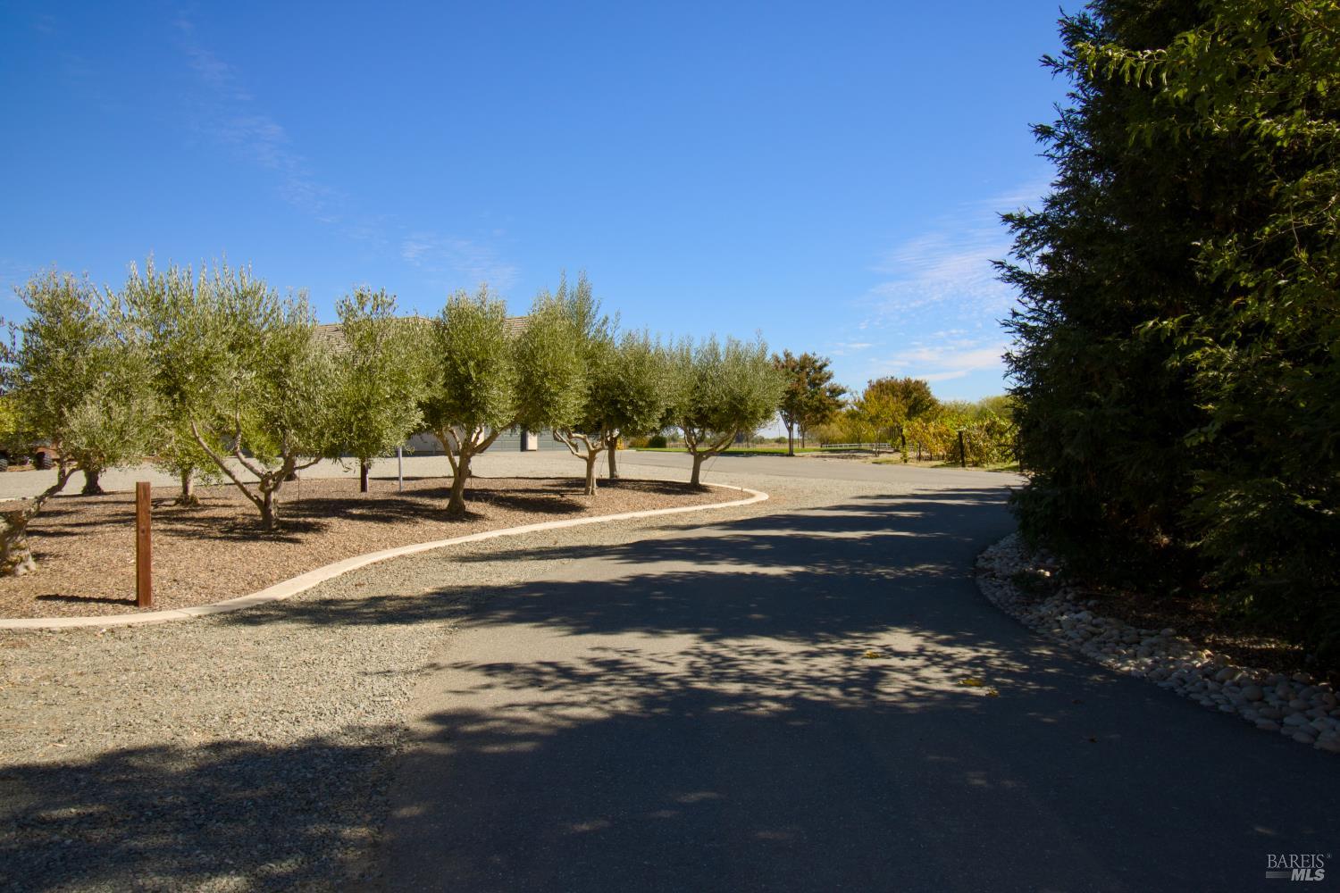 8320 Shadi Lane Winters CA 95694
