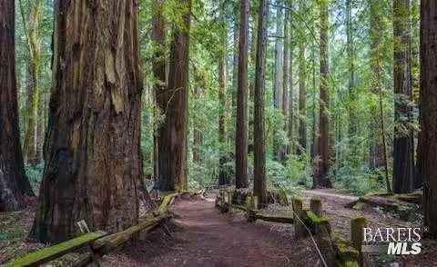 4290 Cazadero Highway Cazadero CA 95421