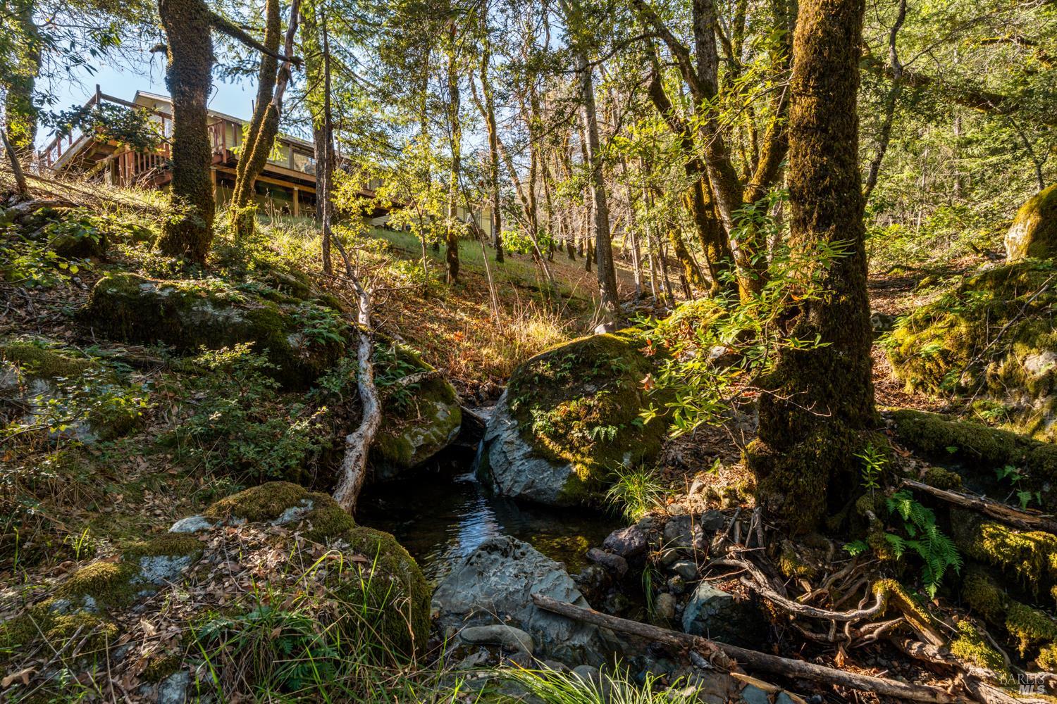 52401 Iron Creek Road Laytonville CA 95454