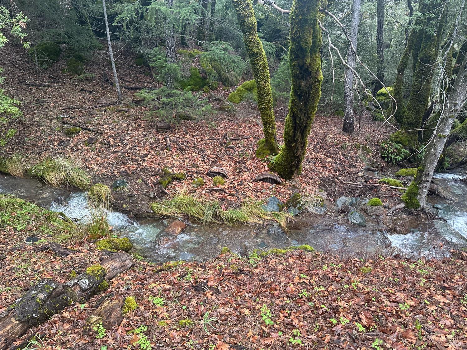 52401 Iron Creek Road Laytonville CA 95454