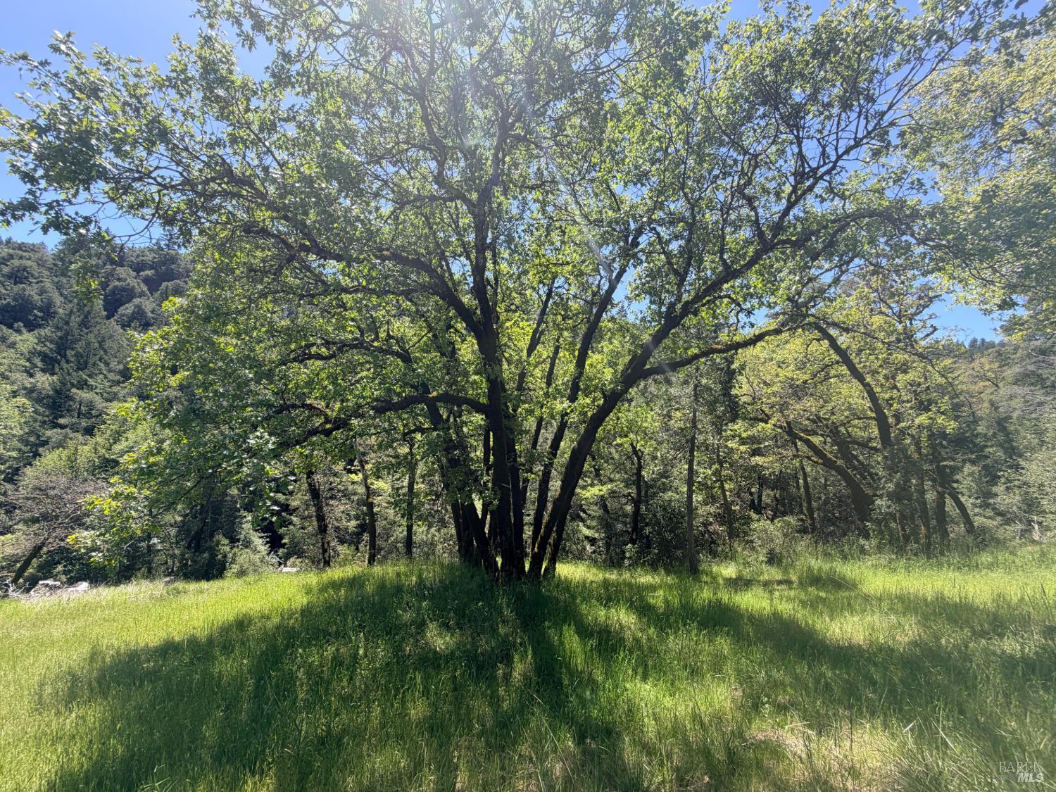 52401 Iron Creek Road Laytonville CA 95454