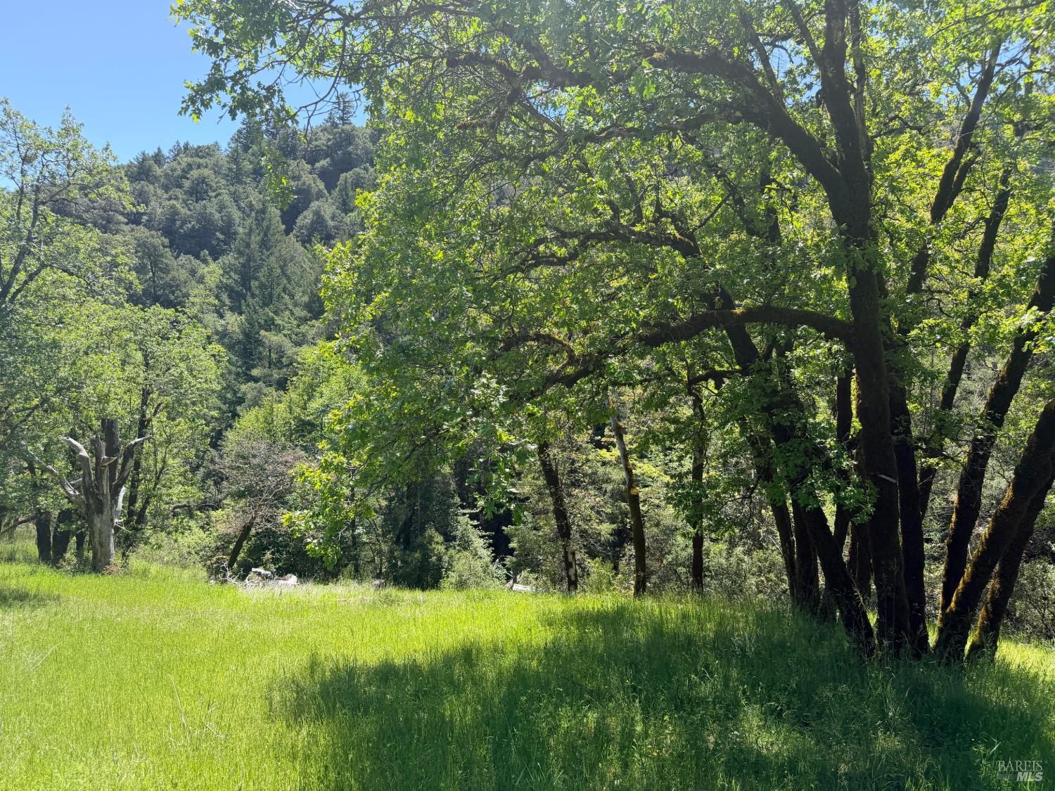 52401 Iron Creek Road Laytonville CA 95454